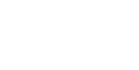 hospital_arnaldo_gavazza.png