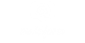 instituto_metafora.png