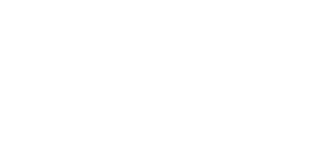 veridiana_vascular.png